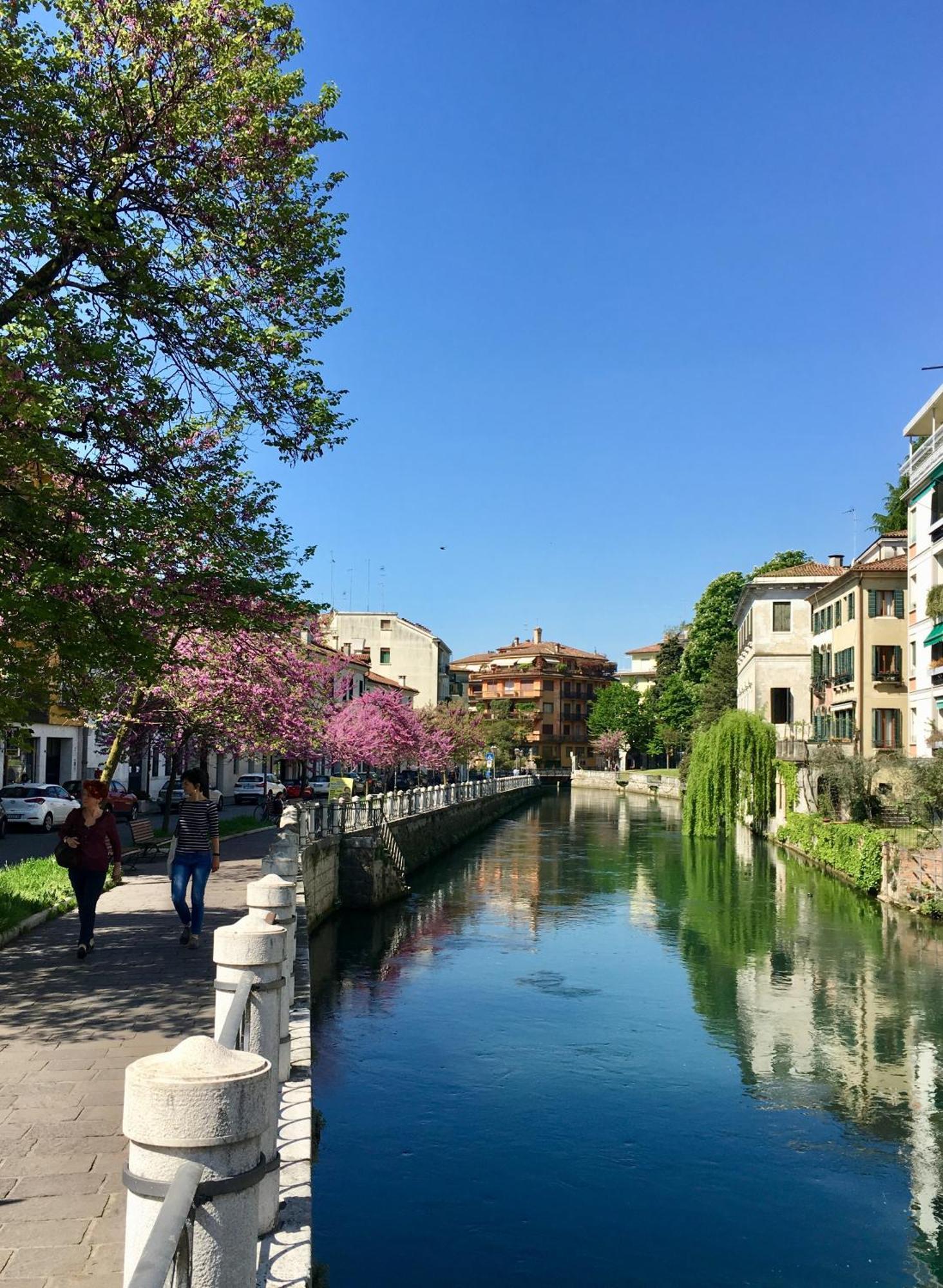 Maison Altinia Otel Treviso Dış mekan fotoğraf